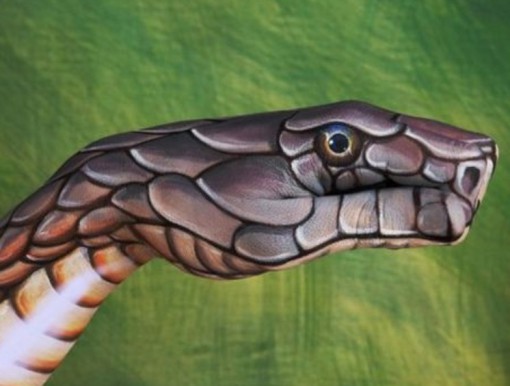 Top 10 Amazing Animal Hand Paintings