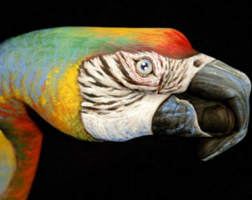 Top 10 Amazing Animal Hand Paintings