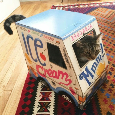 Cat Driving An Ice Cream Van