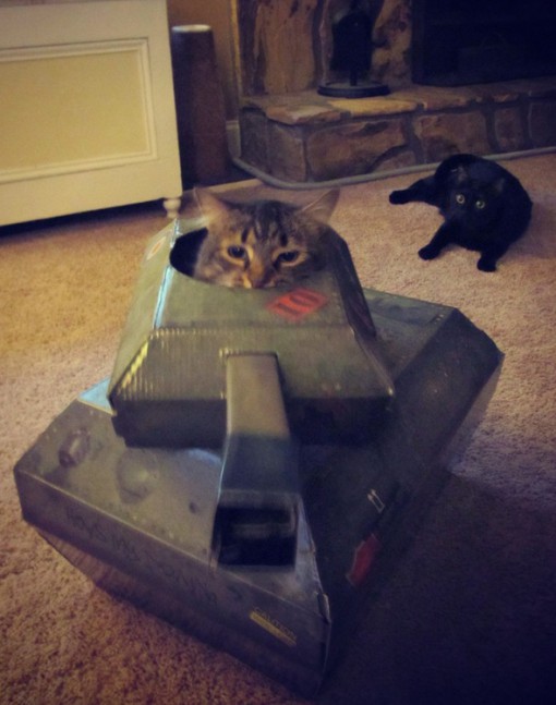 Cat Driving A Tank