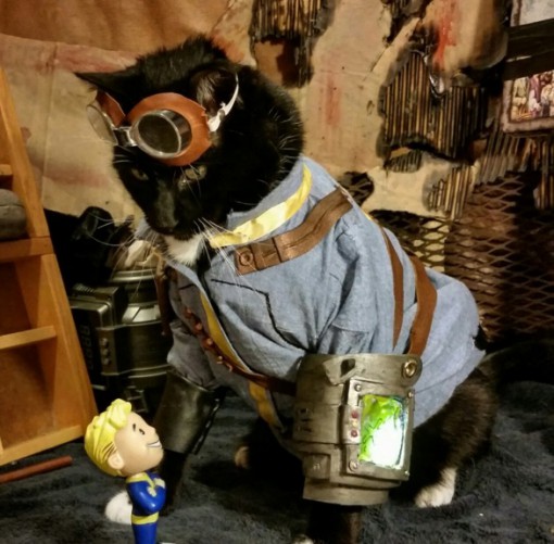 Fallout 3: Cat Cosplay