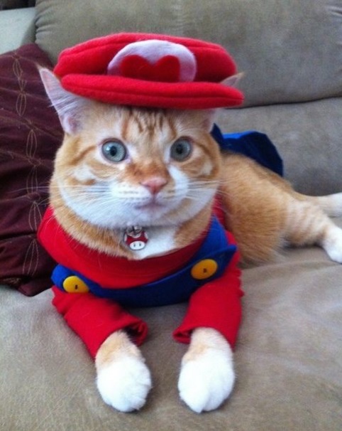 Super Mario: Cat Cosplay
