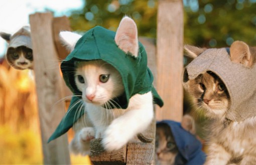 Assassin's Creed: Cat Cosplay