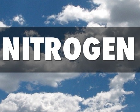 How Much Nitrogen Is in the Air We Breathe?