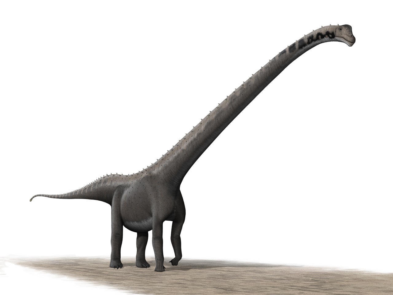 Маменхизавр динозавр
