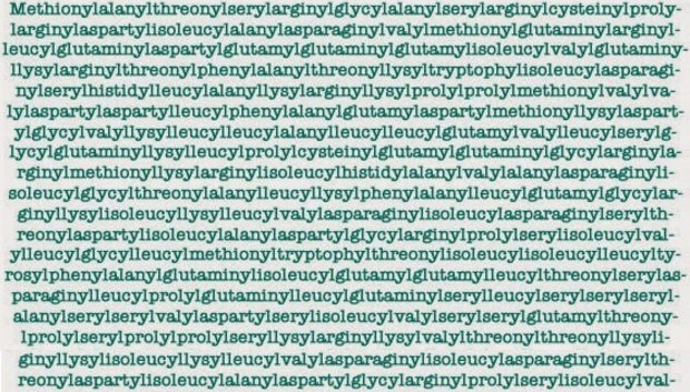 The Top 10 Longest Words In The English Language