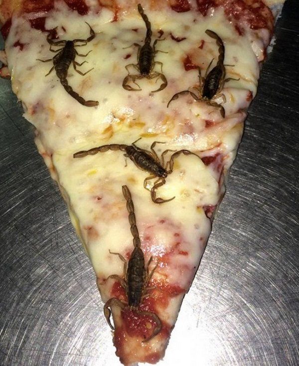 Ten of the Craziest Pizza Toppings You Will Ever See