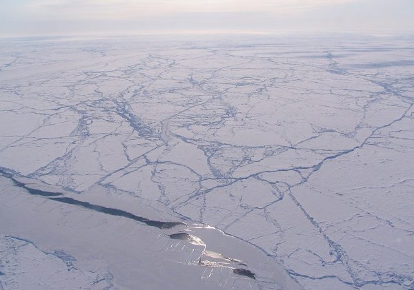 Arctic in Arctic