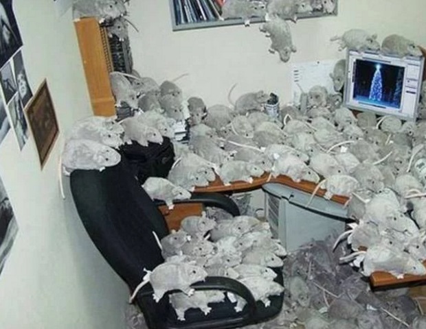 Ten Of The Very Best April Fools Office Pranks Ever Pulled