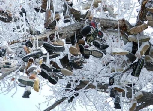 Shoe Tossing: Shoes in a Frozen Tree