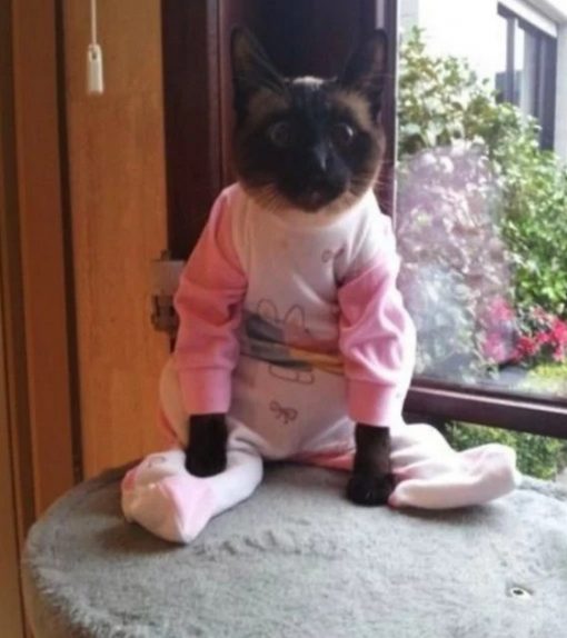 Cat In Pink Baby Grow Pajamas