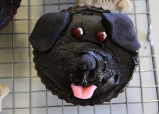 Cupcakes that look like dogs
