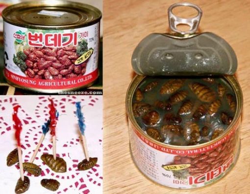 Can of Silkworm Pupae