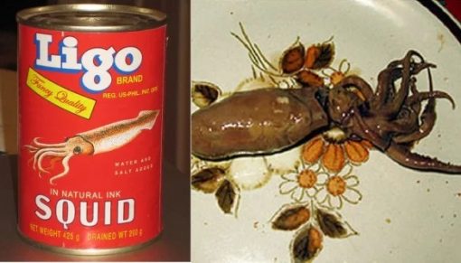 Canned Squid