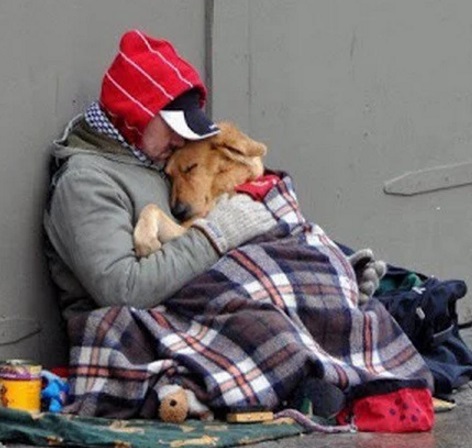 Dog cwtching, cuddling, hugging human