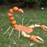 Ten Pumpkins Made to Look Like Animals (Halloween Special)