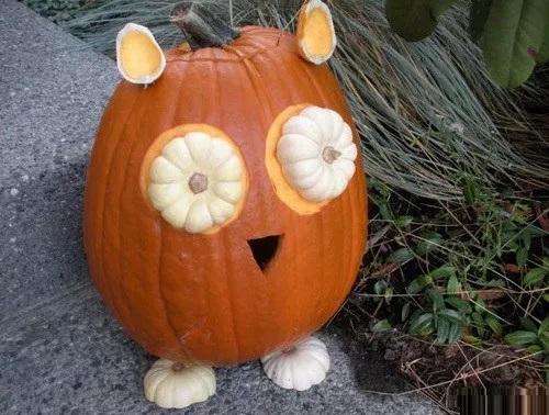 Pumpkin/Jack-o-lantern that looks like an owl