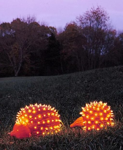 Pumpkin/Jack-o-lantern that looks a Hedgehog