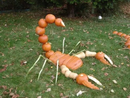 Pumpkin/Jack-o-lantern that looks a Giant Scorpion