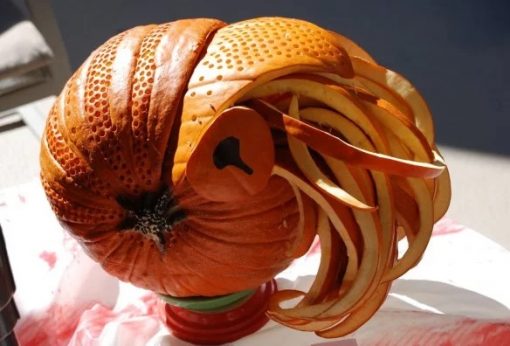  Pumpkin/Jack-o-lantern that looks a Nautilus