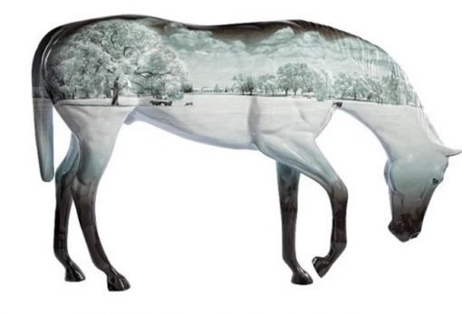 Horse Fever - Ocala Painted Horses
