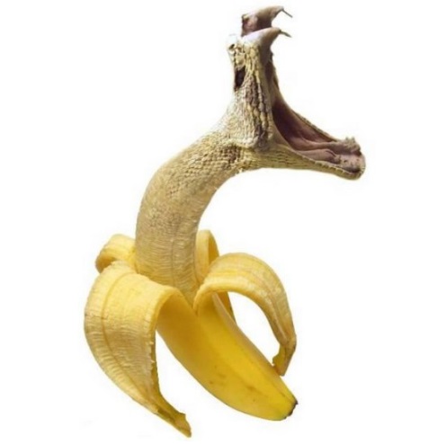 Photoshopped Banana Made to Look Like a Snake