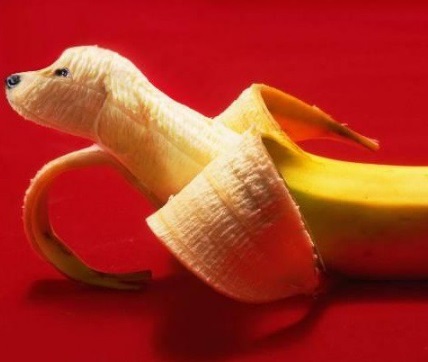 Photoshopped Banana Made to Look Like a Puppy