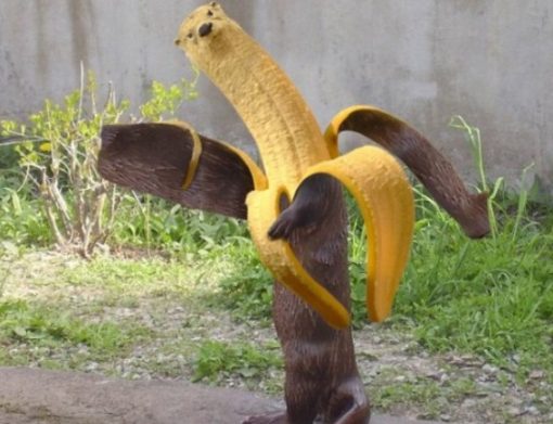Photoshopped Banana Made to Look Like a Swan