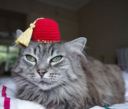 tiny fez hat