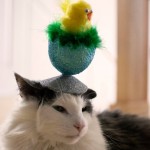 Cat Wearing Funny Chick in Egg Easter Bonnet