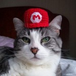 Cat Wearing Tiny Super Mario Cap
