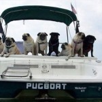The World’s Top 10 Best Funny Boat Names