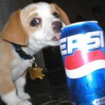 Ten Weird, Crazy and Unusual Flavours of Pepsi You've Never Tasted!