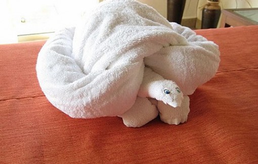 Top 10 Best Examples of Towel Art Animals