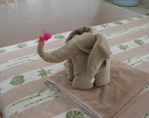 Top 10 Best Examples of Towel Art Animals