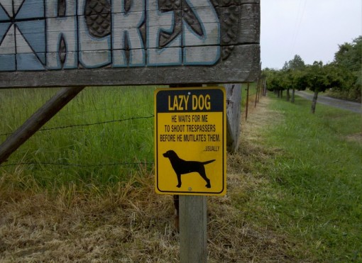 Top 10 Funny Beware of dog Signs