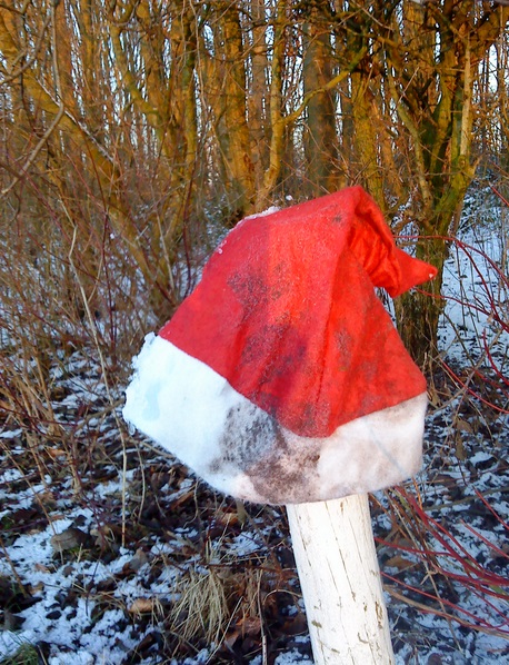 Top 10 Unusual Things Wearing Santa Hats