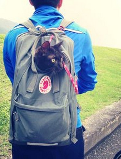 Top 10 Images of Pets in Backpacks