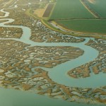 Top 10 Amazing & Beautiful Salt Marshes