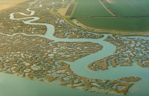 Top 10 Amazing & Beautiful Salt Marshes