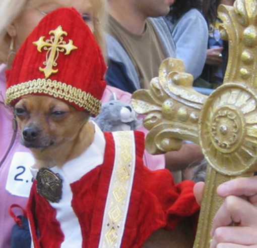 Top 10 Crazy Catholic Pope Dogs