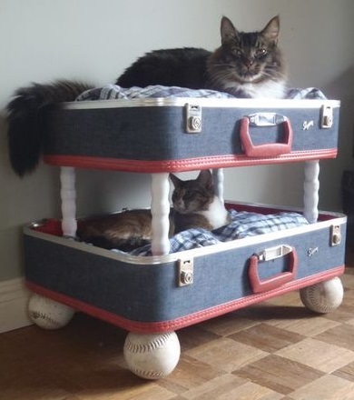 Top 10 Ways To Recycle and Reuse Old Suitcases
