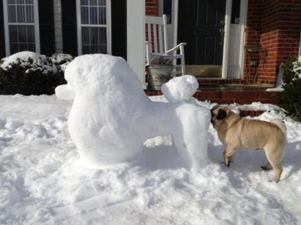 Dog Sniffing Snow Sculpture Of Other Dog