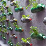 Top 10 Ways To Recycle and Transform Empty Plastic Pop Bottles