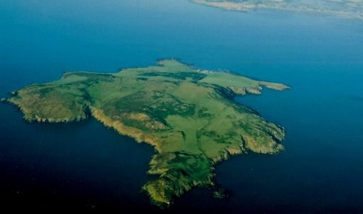 Lambay Island, Fingal