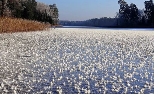 The Frozen Lake, Trakai