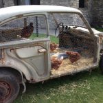 Top 10 Repurposed Things Turned Into Chicken Coops