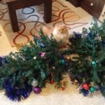 Top 10 Grinch Loving Cats That Destroyed Christmas