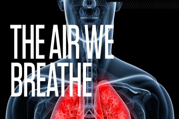 What Are The Components Of The Air We Breathe