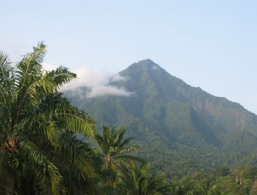 Cameroon Volcano, Cameroon